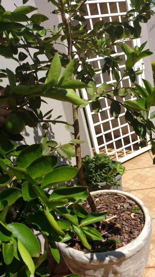 Hostel Casa 1 Araraquara Esterno foto